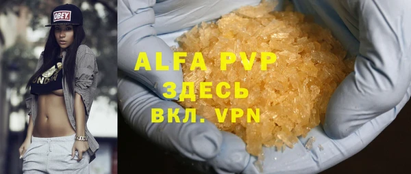 стаф Богданович