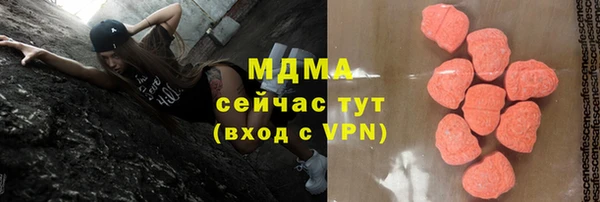стаф Богданович