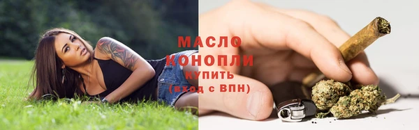 стаф Богданович