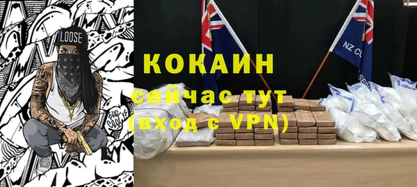 кокс Богородицк