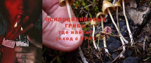 кокс Богородицк
