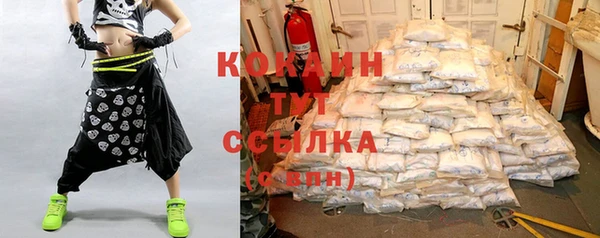 шишки Богородск