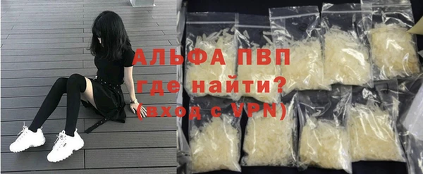 стаф Богданович